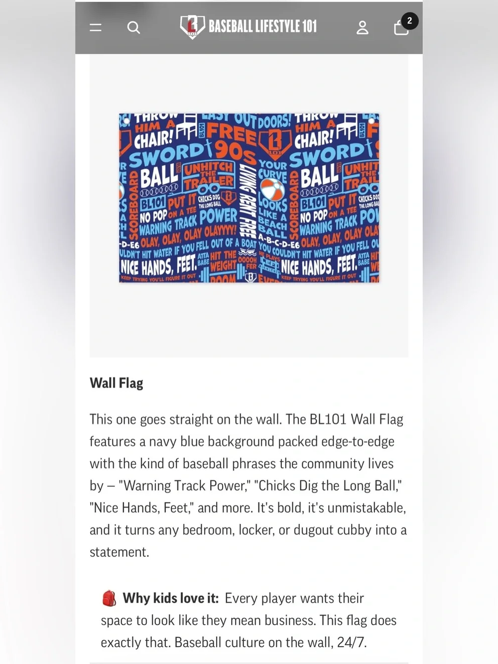 Baseball Lifestyle 101 Back to School 2026 Gift Box (please see description)